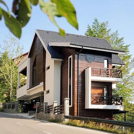 Casa Larisa Antonia Apartments Sinaia Extérieur photo