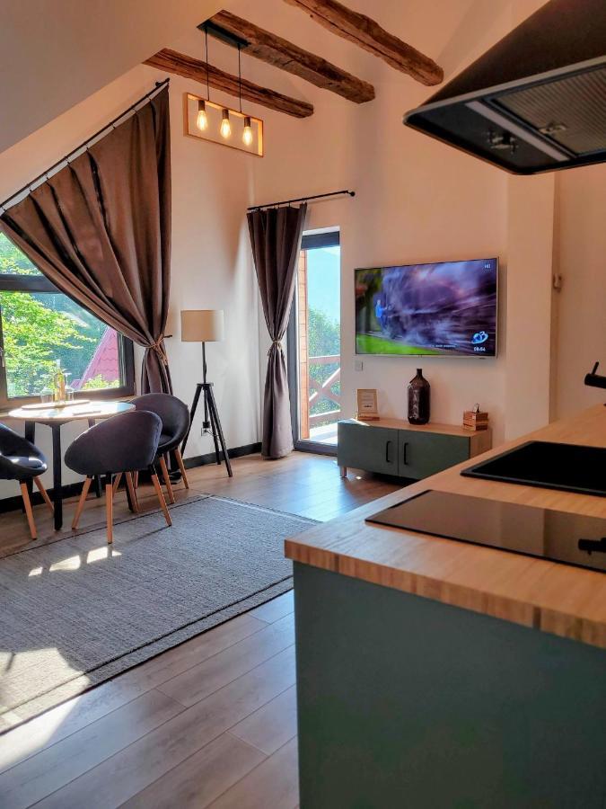 Casa Larisa Antonia Apartments Sinaia Extérieur photo