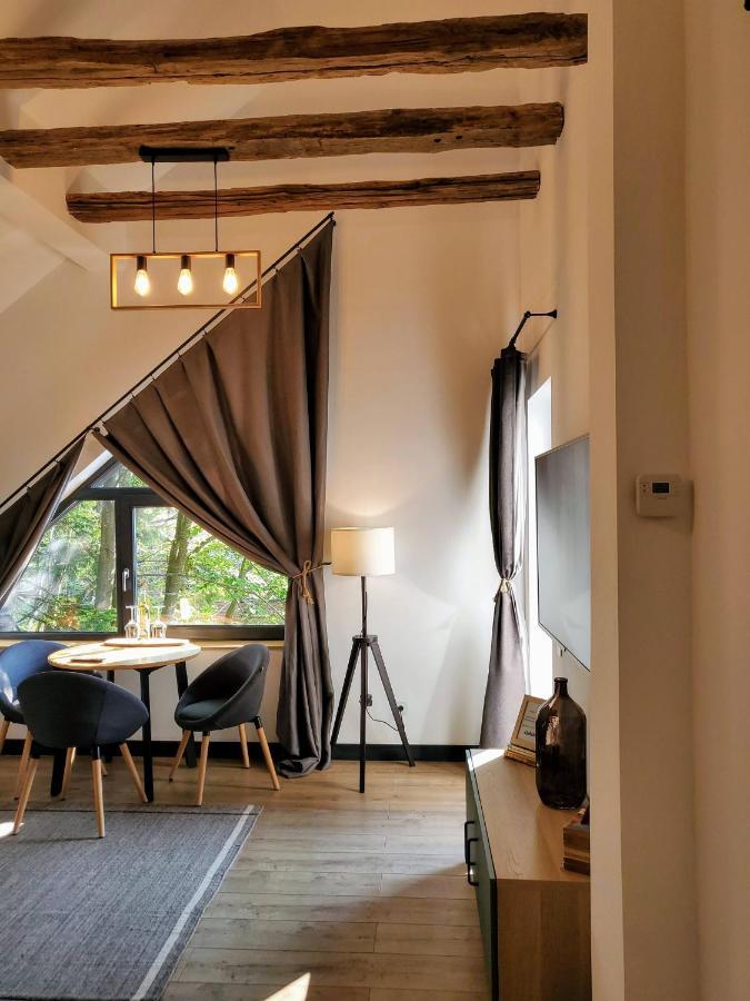 Casa Larisa Antonia Apartments Sinaia Extérieur photo
