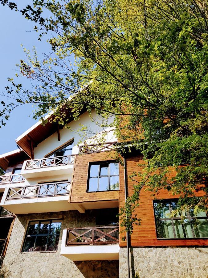 Casa Larisa Antonia Apartments Sinaia Extérieur photo