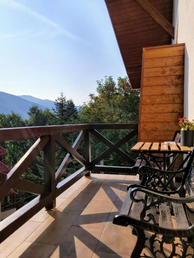 Casa Larisa Antonia Apartments Sinaia Extérieur photo