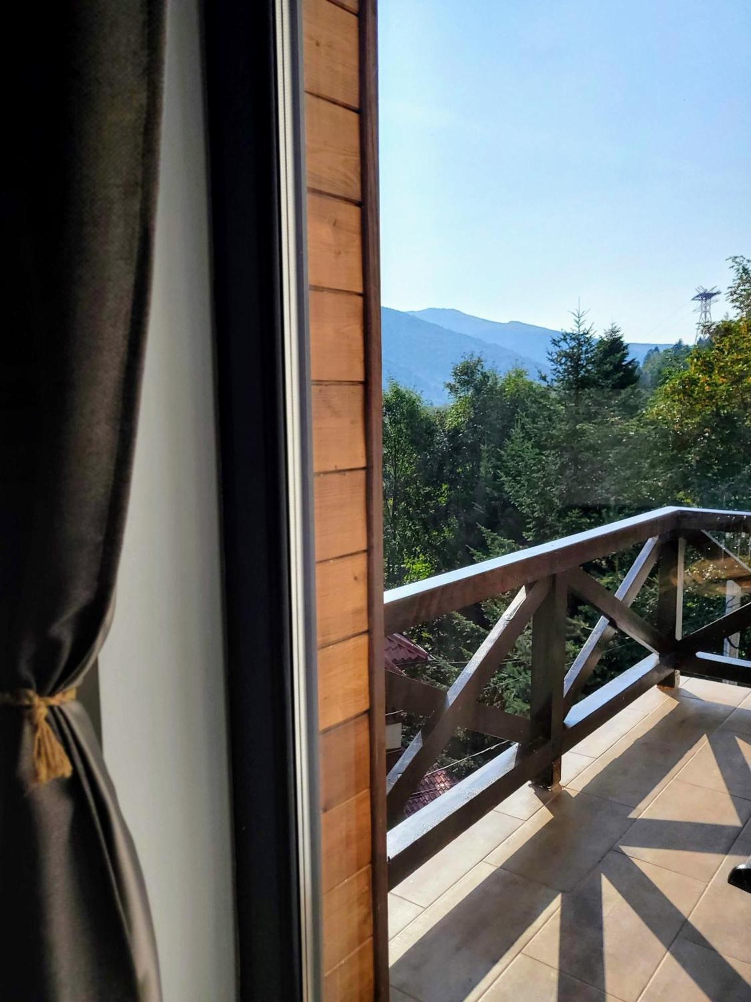 Casa Larisa Antonia Apartments Sinaia Extérieur photo