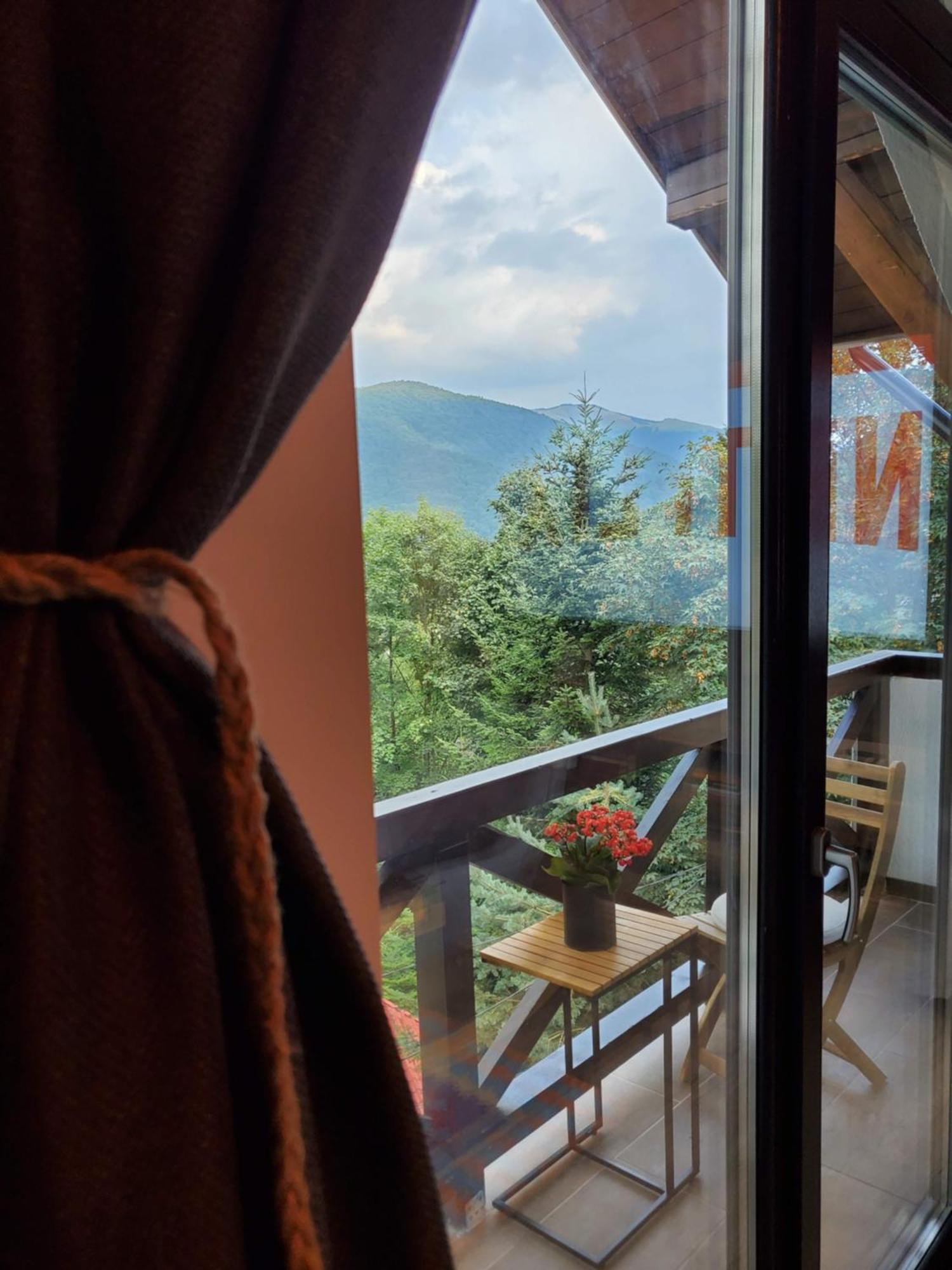 Casa Larisa Antonia Apartments Sinaia Extérieur photo